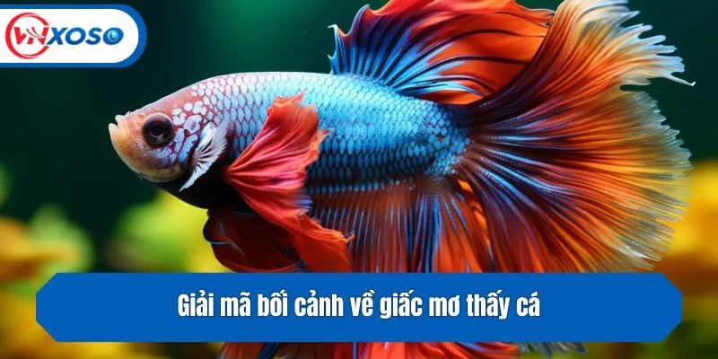 Giải mã bối cảnh về giấc mơ thấy cá