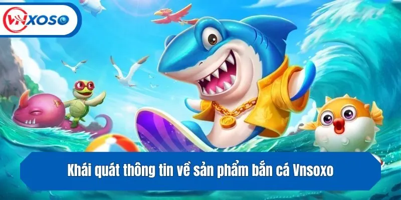 Khái quát thông tin về sản phẩm bắn cá Vnsoxo