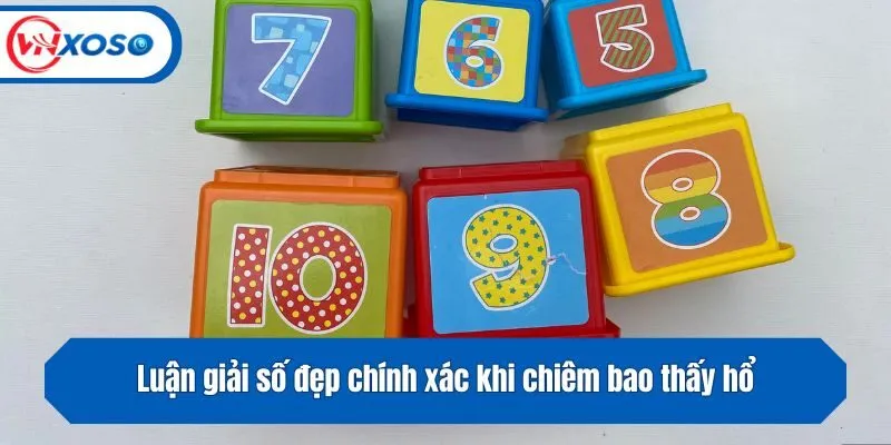 Luận giải số đẹp chính xác khi chiêm bao thấy hổ