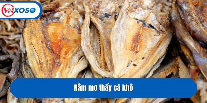 Nằm mơ thấy cá khô